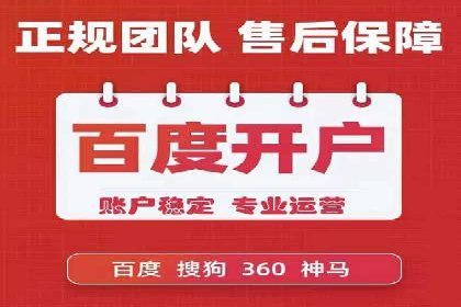 SEM服务公司成功案例解读